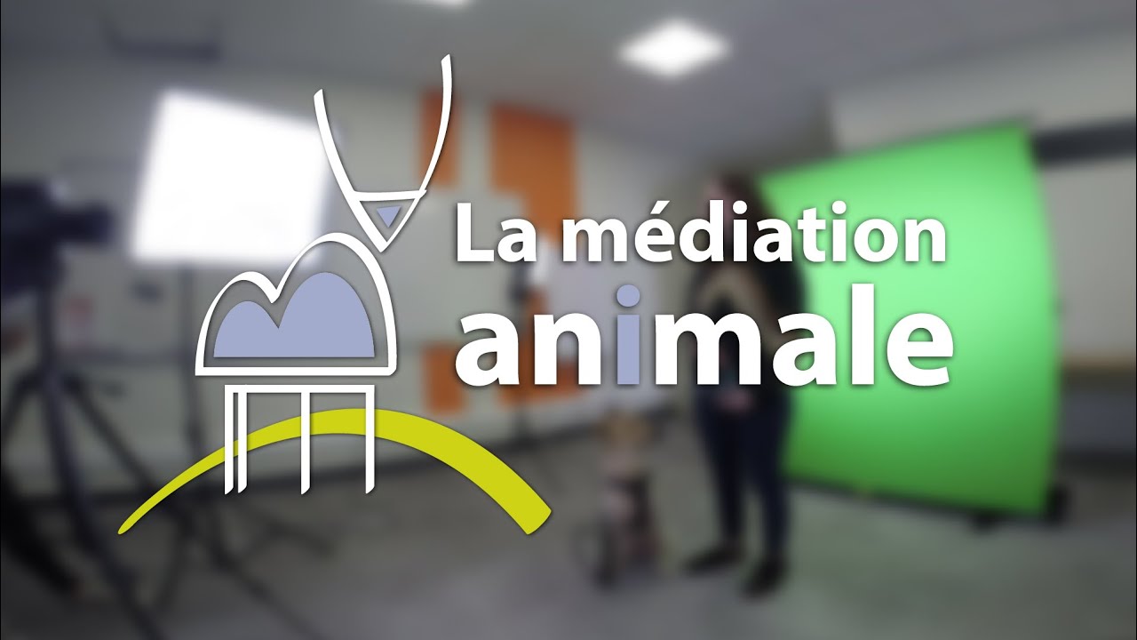 La médiation animale : qu'est-ce-que c'est ? 1/2