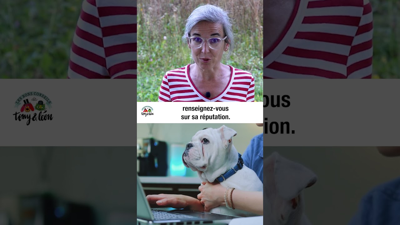 Quels modes de garde pendant les vacances ?  #chat  #chien