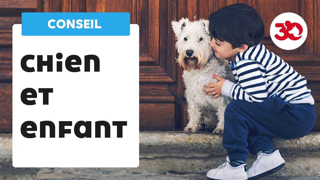Chien : des conseils pour les enfants !