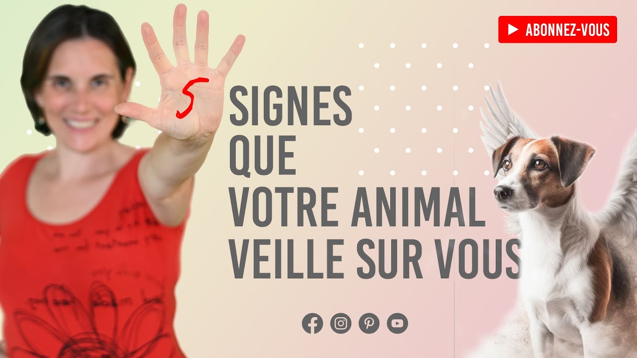 5 Signes surprenants que votre Animal défunt veille sur vous 😻
