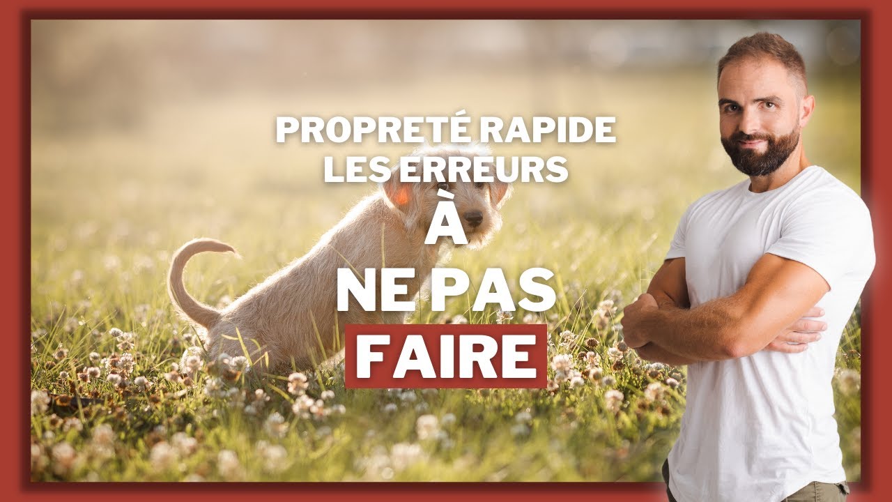 Apprendre la propreté chez le chiot : les erreurs à éviter