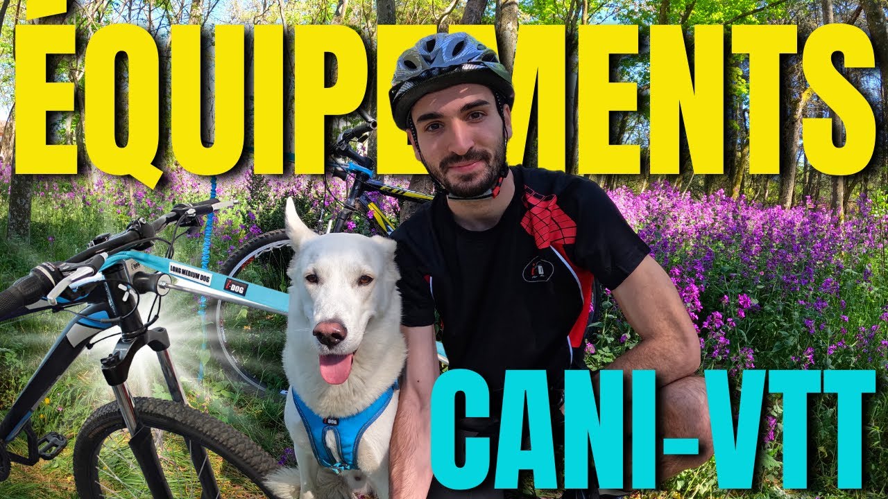 COMMENT S'ÉQUIPER EN CANI-VTT ?