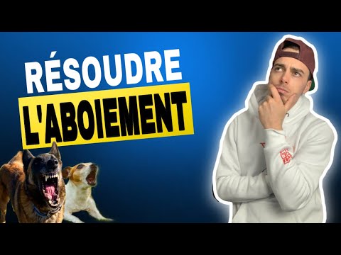 COMMENT GÉRER l'ABOIEMENT !!!!! ( astuces efficaces )