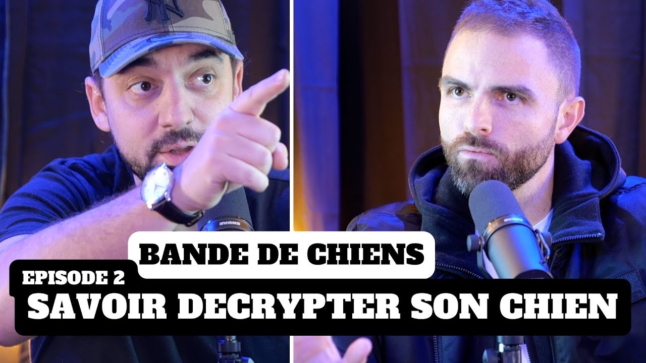 L'avis d'Esprit Dog sur les SIGNAUX d'apaisement - Ep2