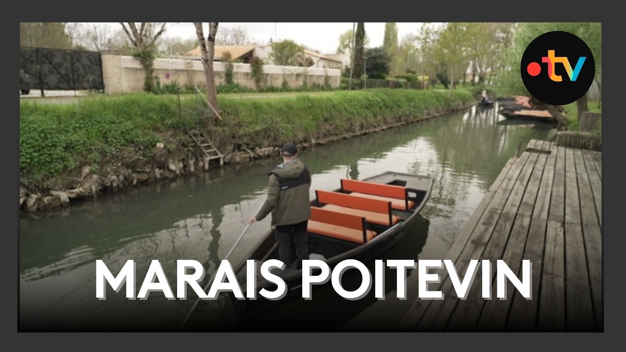 Début de saison pour les bateliers dans le Marais Poitevin