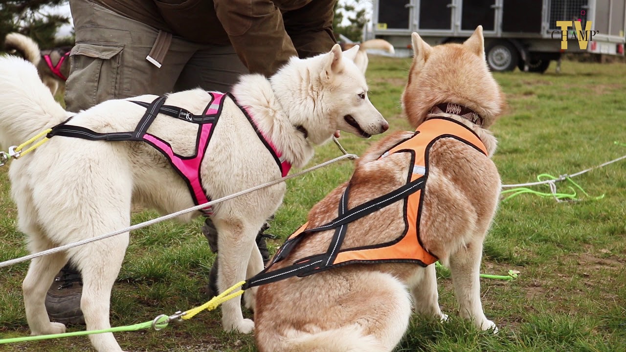 En balade avec "Des papattes dans la boue"