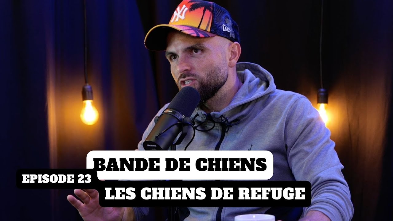 Les chiens de refuge - BANDE DE CHIENS Ep23