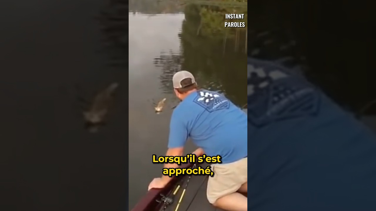 Ils retrouvent ces deux chats en plein milieu d’un lac
