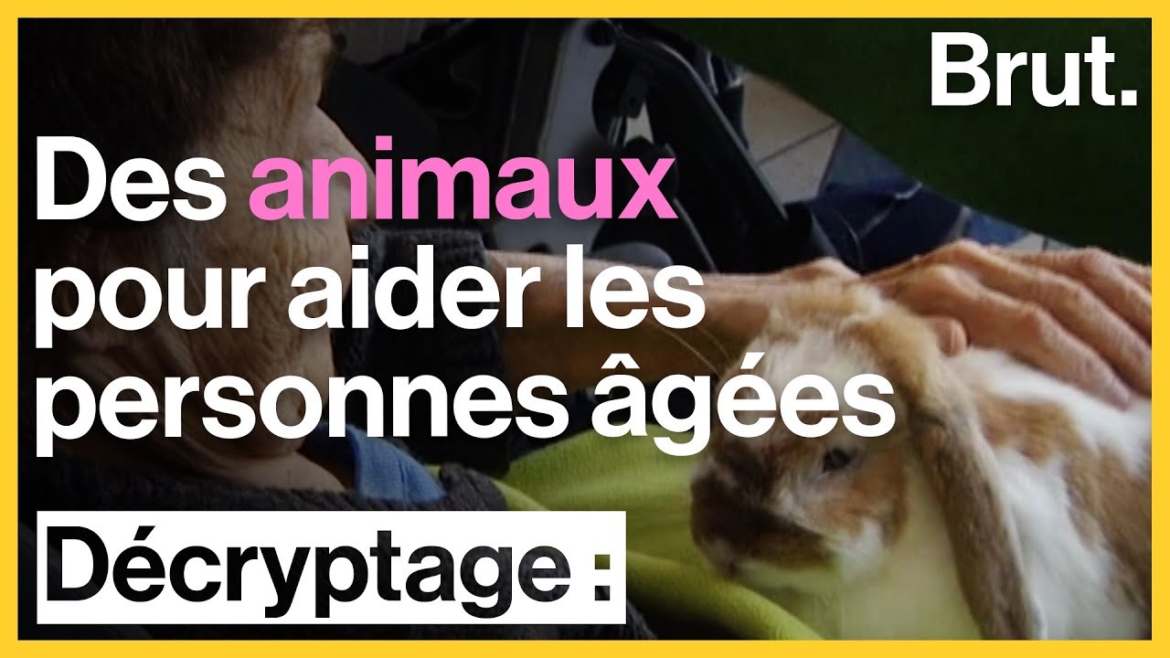 La médiation animale en maison de retraite