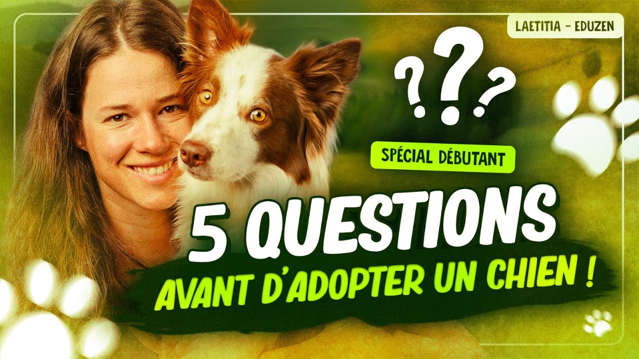 5 choses à savoir avant d'adopter un chien | Laetitia Gonnon - Eduzen