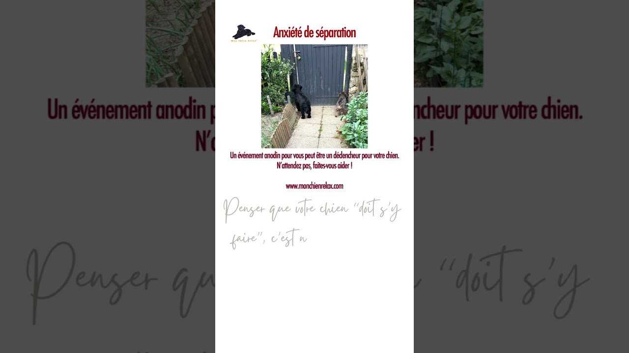 L’anxiété de séparation