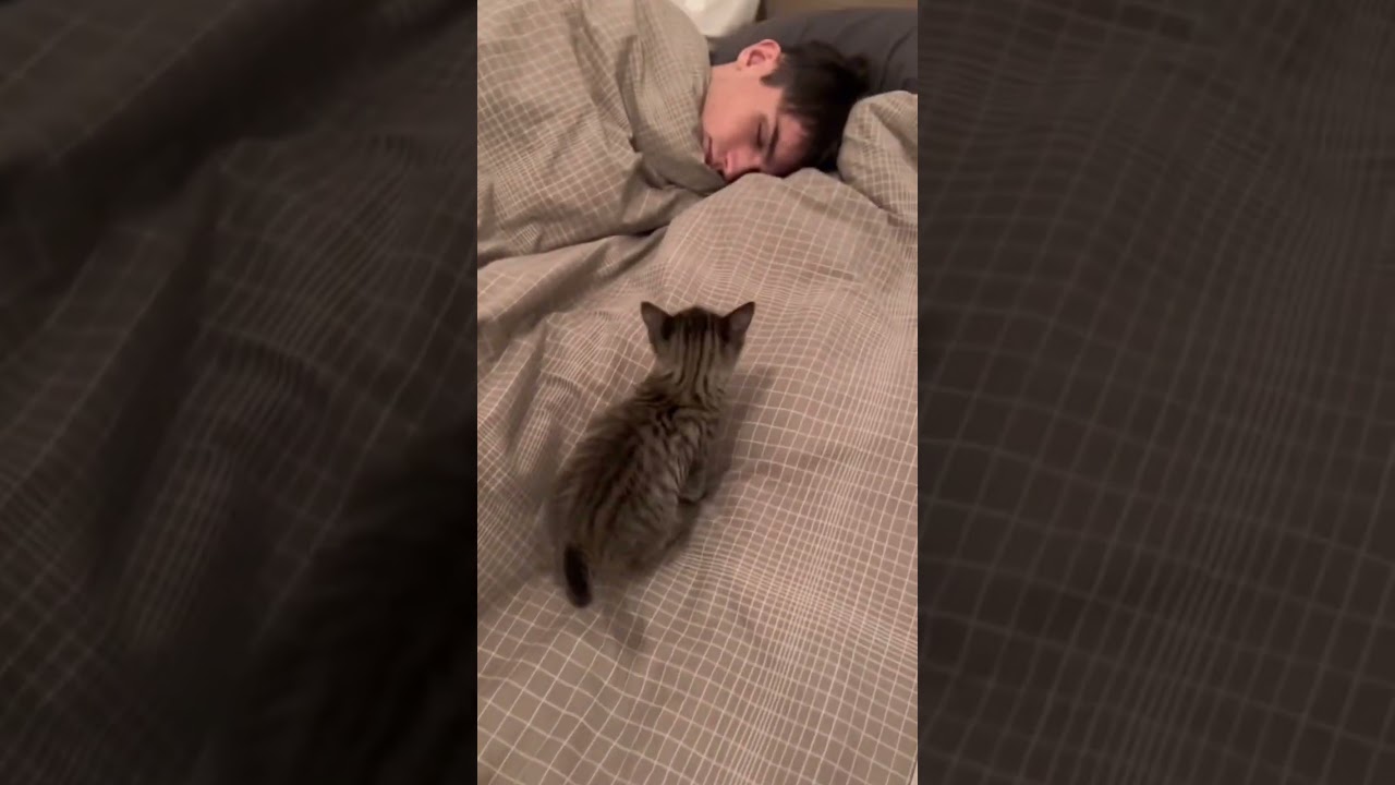 C’est pas mignon ça ? 🤩😂