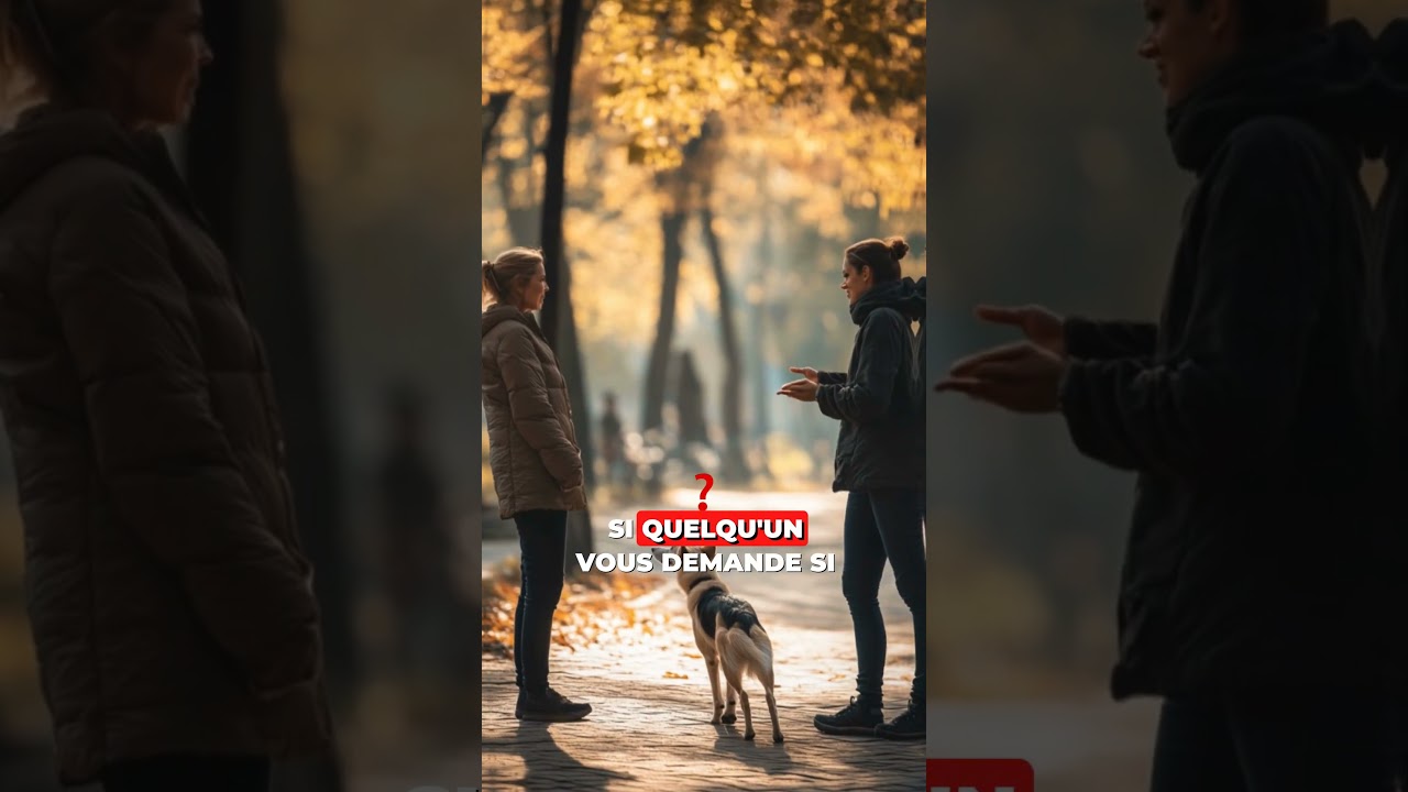 Vols de chiens : 3 erreurs à éviter absolument pour protéger ton compagnon !