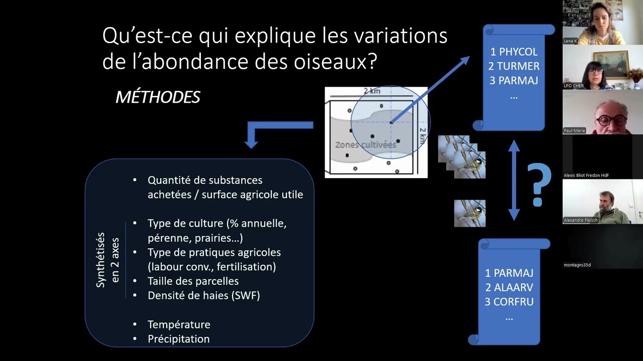 Wébinaire OAB-ENI : Comment les scientifiques étudient les effets des pesticides sur les oiseaux ?