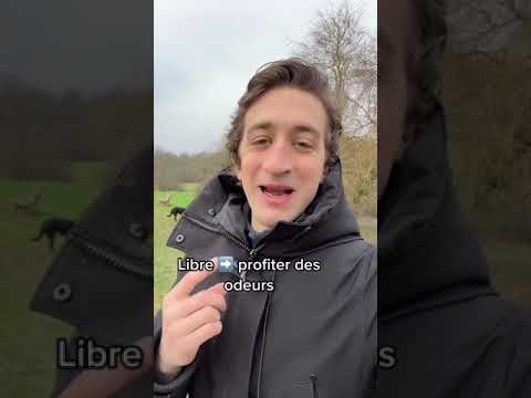 Le temps de balade pour son chien #educationcanine #chien #educateurcanin