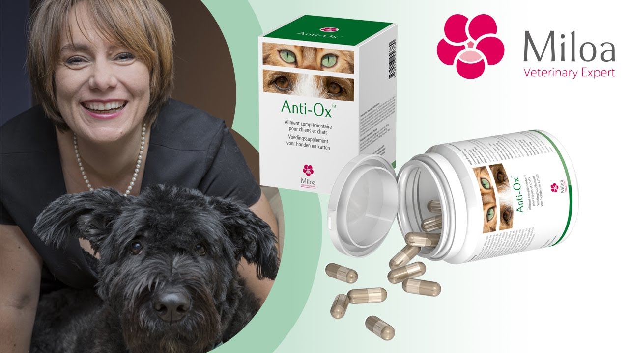 Anti-Ox™ : Soutient ceux qui souffrent de maladies auto immunes et inflammatoires (chiens, chats...)