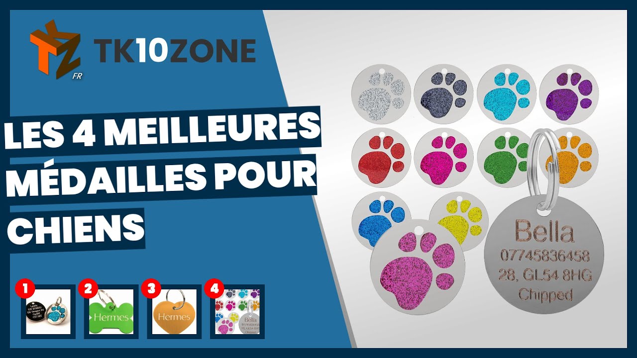 Les 4 meilleures médailles pour chiens