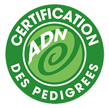 La Meute à Mell - Logo ADN Certification des pedigrees
