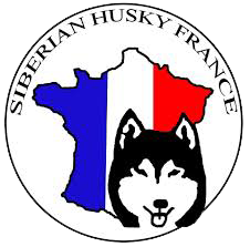 La Meute à Mell - Logo club de race Siberian Husky France